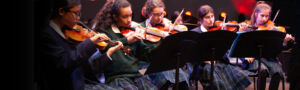students playing the violin